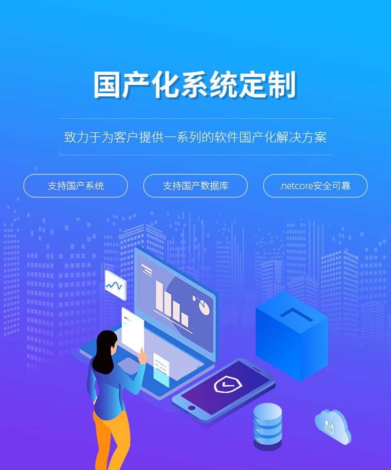 企业系统定制：构建高效业务引擎的力量源泉